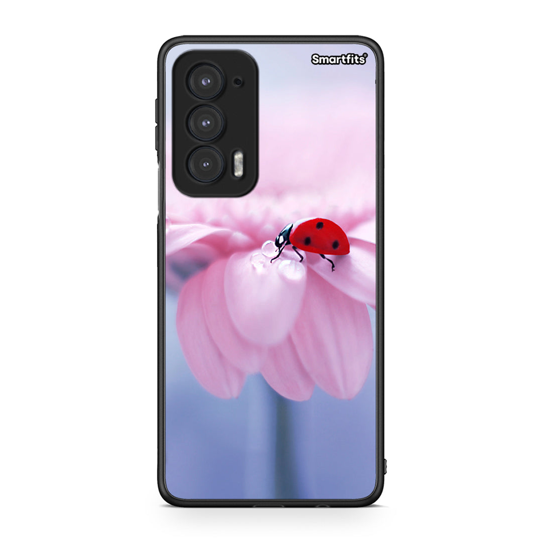 Motorola Edge 20 5G Ladybug Flower θήκη από τη Smartfits με σχέδιο στο πίσω μέρος και μαύρο περίβλημα | Smartphone case with colorful back and black bezels by Smartfits