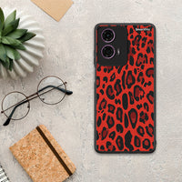 Thumbnail for Animal Red Leopard - Motorola G24 θήκη