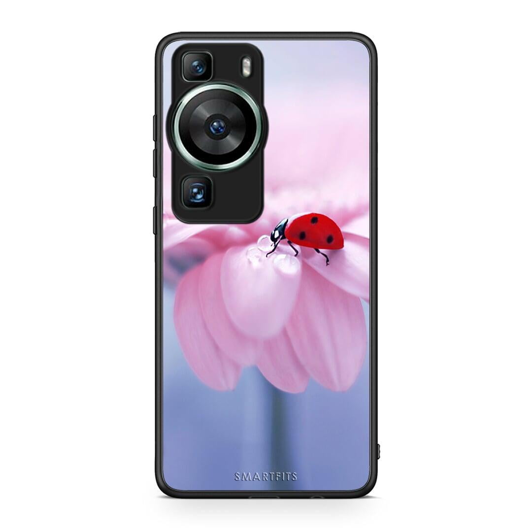 Θήκη Huawei P60 Ladybug Flower από τη Smartfits με σχέδιο στο πίσω μέρος και μαύρο περίβλημα | Huawei P60 Ladybug Flower Case with Colorful Back and Black Bezels