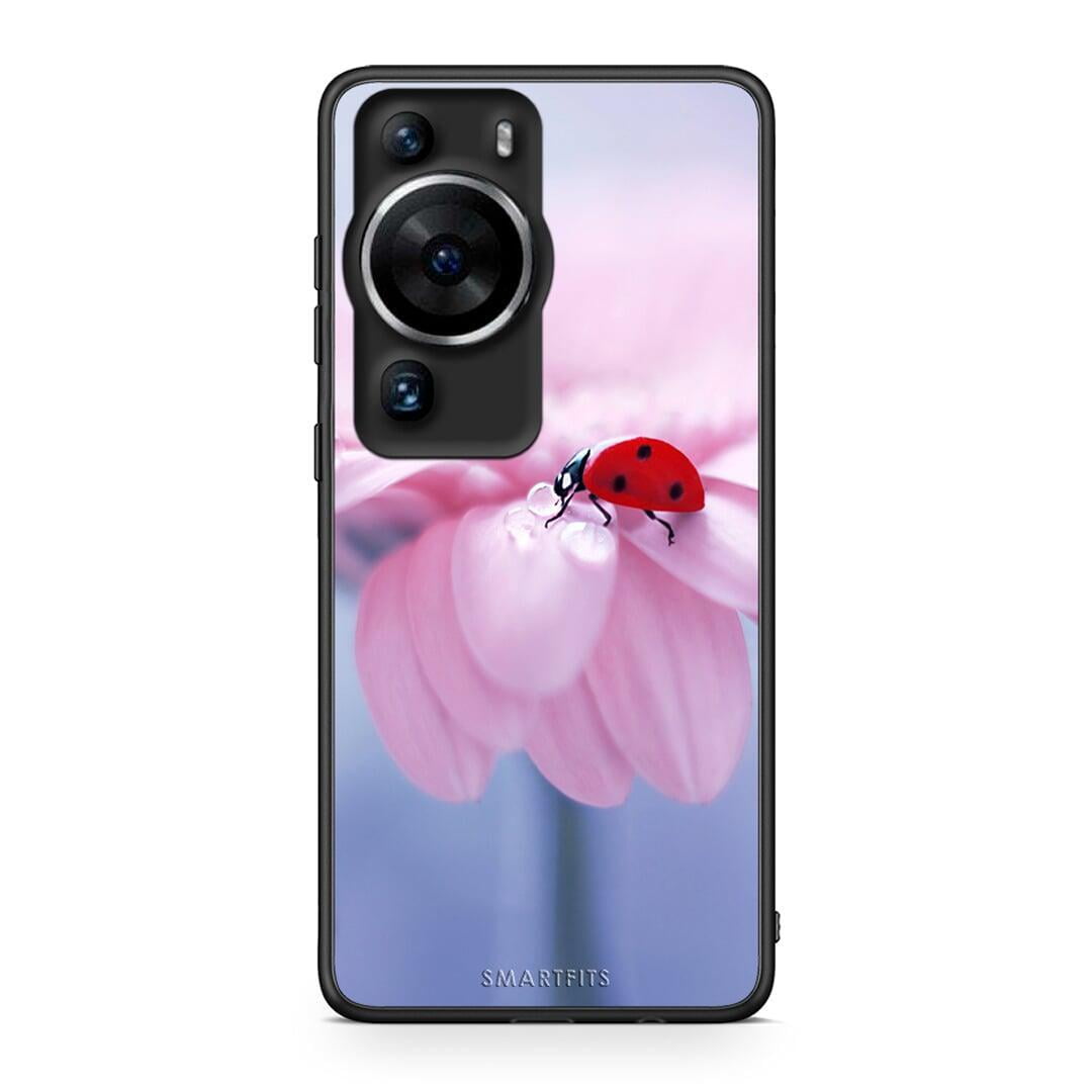 Θήκη Huawei P60 Pro Ladybug Flower από τη Smartfits με σχέδιο στο πίσω μέρος και μαύρο περίβλημα | Huawei P60 Pro Ladybug Flower Case with Colorful Back and Black Bezels