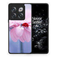 Thumbnail for Θήκη OnePlus 10T Ladybug Flower από τη Smartfits με σχέδιο στο πίσω μέρος και μαύρο περίβλημα | OnePlus 10T Ladybug Flower case with colorful back and black bezels