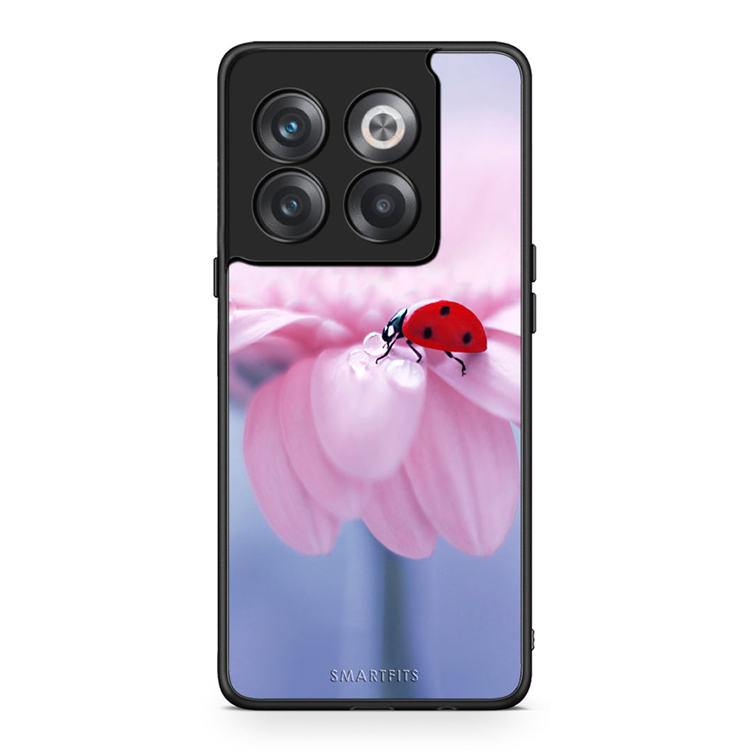 OnePlus 10T Ladybug Flower θήκη από τη Smartfits με σχέδιο στο πίσω μέρος και μαύρο περίβλημα | Smartphone case with colorful back and black bezels by Smartfits