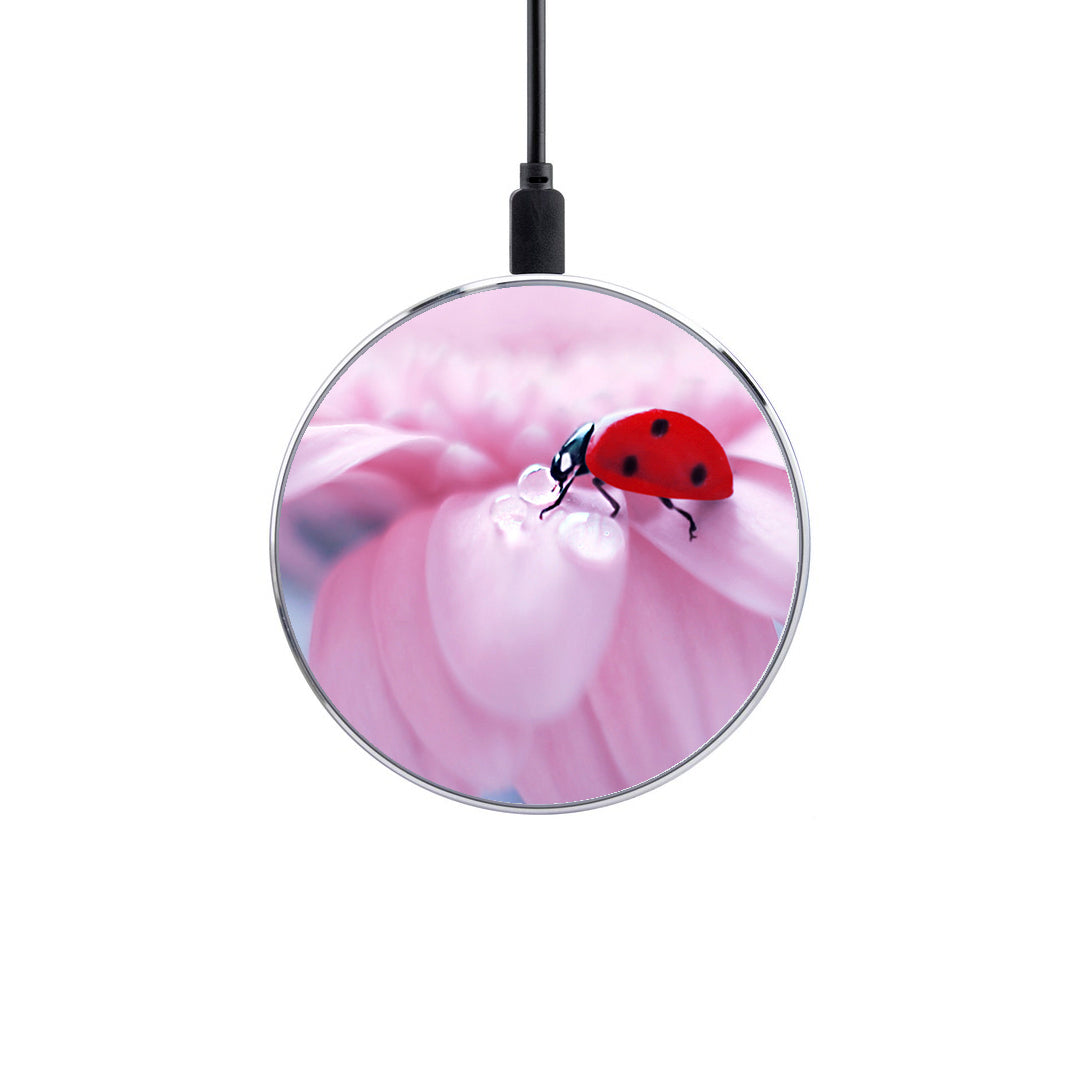 Ασύρματος Φορτιστής με χρώμα Ladybug Flower – Smartfits