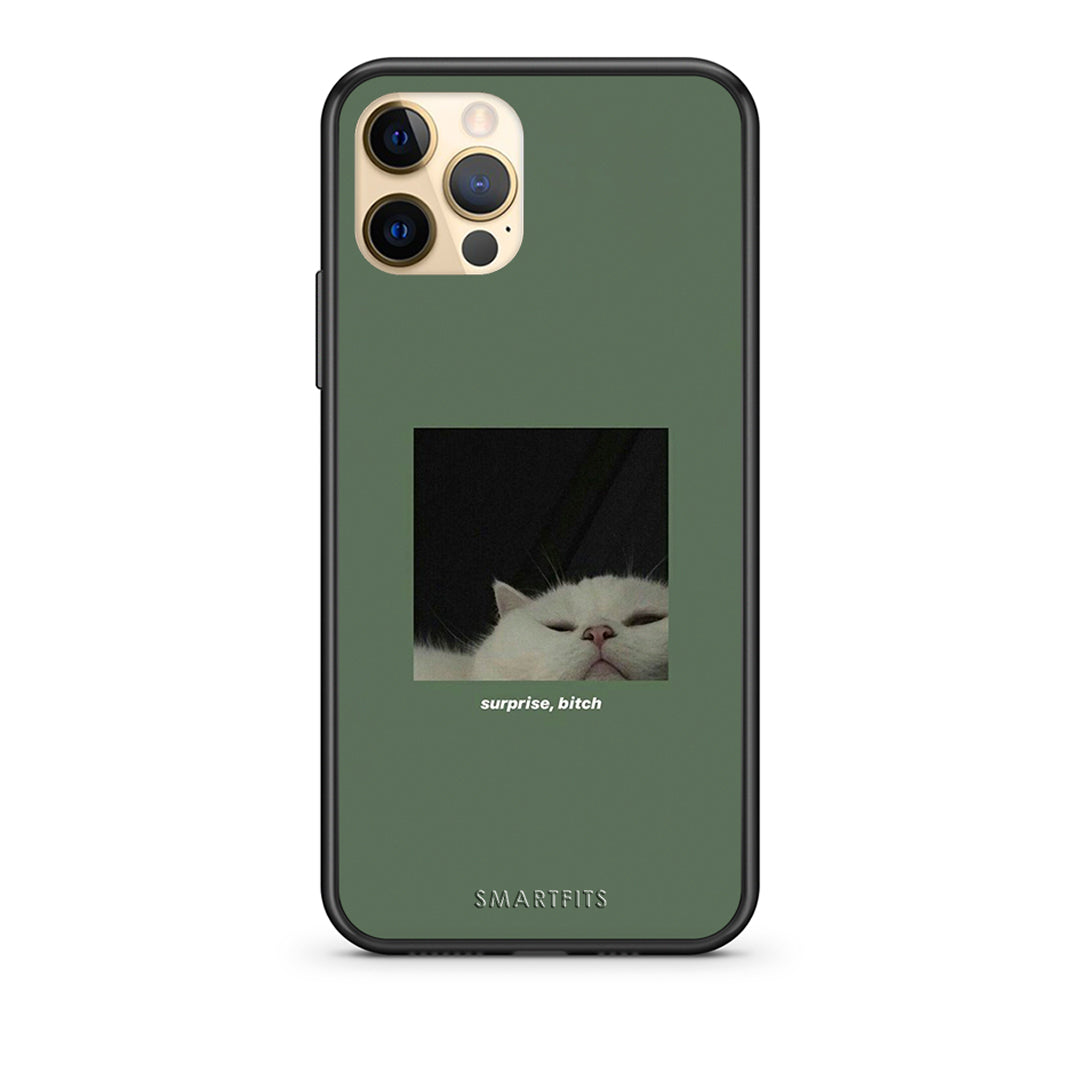 Bitch Surprise - iPhone 12 Pro case