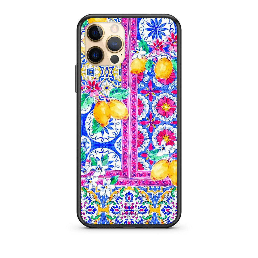 Retro Spring - iPhone 12 Pro case