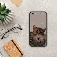 Thumbnail for Cats in Love - iPhone 7 /8 / SE 2020